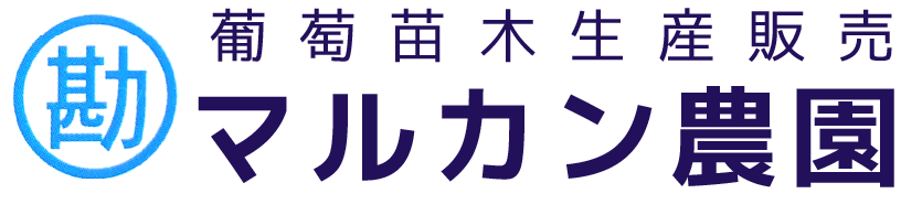 葡萄苗木生産販売 マルカン農園