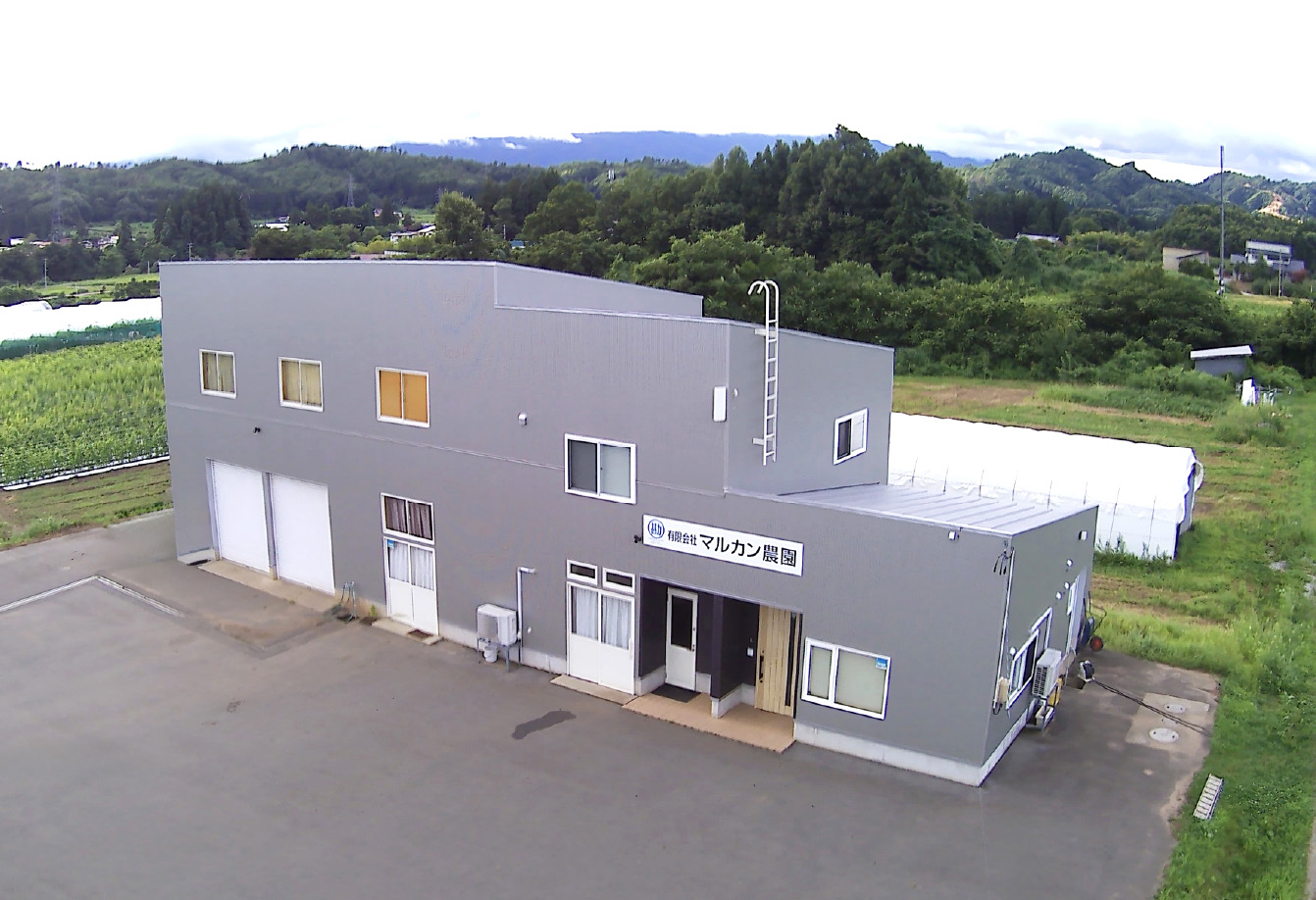 マルカン農園のぶどう畑